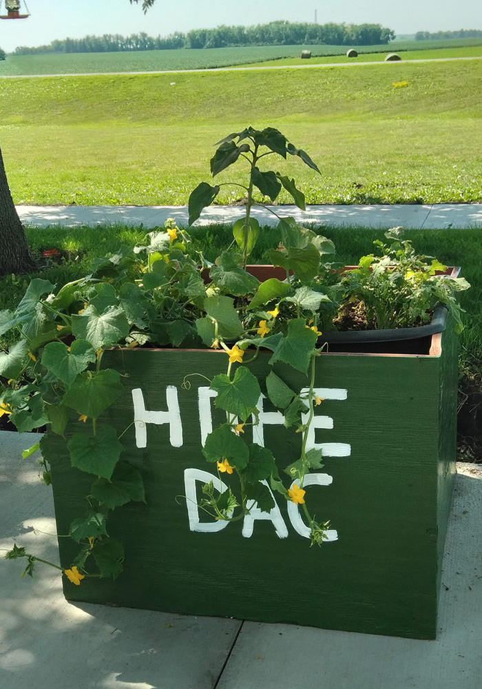 Hope DAC/ECCO Chest (flower planter) donated by UCAP