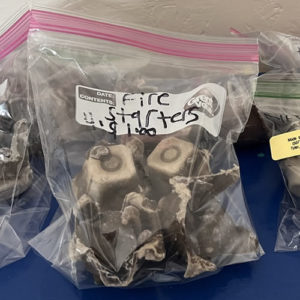 Fire starters made by Hope DAC/ECCO clients. Available for purchase at the Tyler and Tracy locations.